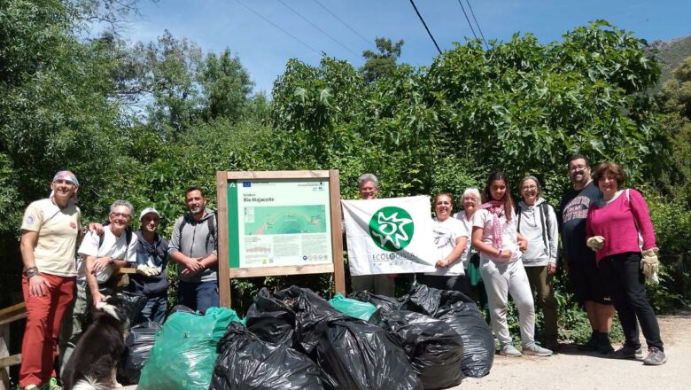 Ecologistas en Acción retira una planta invasora en el río Majaceite