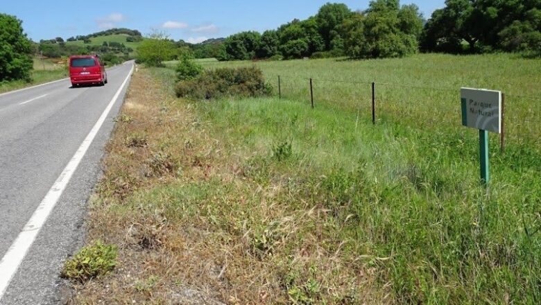 La Junta vuelve a fumigar con glifosato el parque natural