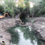 Critican la eliminación de vegetación de ribera en el río Majaceite