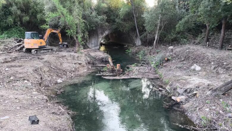 Critican la eliminación de vegetación de ribera en el río Majaceite