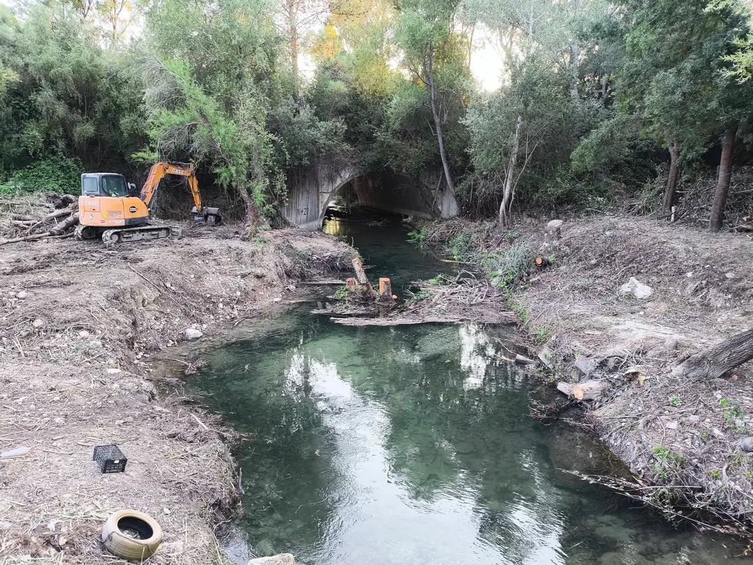 Critican la eliminación de vegetación de ribera en el río Majaceite